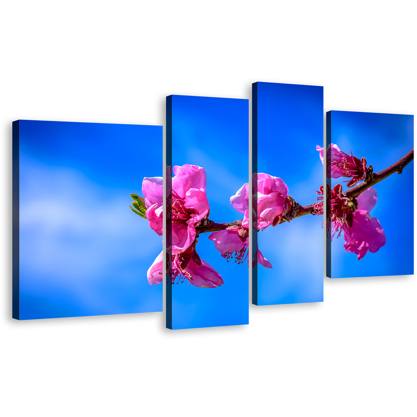 Beautiful Floral Canvas Wall Art, Pink Blossoming Branch 4 Piece Canvas Set, Blue Sky Flowers Canvas Print