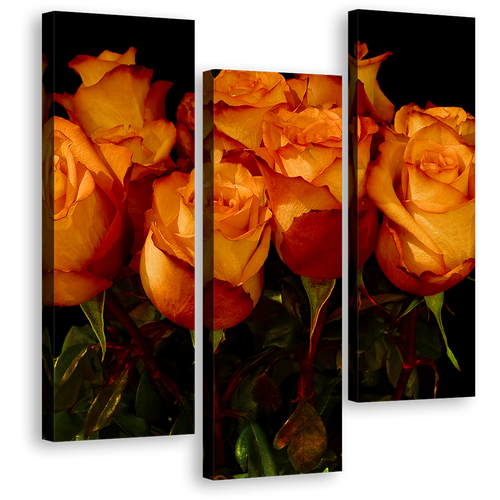 Beautiful Flowers Wall Art, Beautiful Orange Rose Bunch 3 Piece Canvas Print, Black Background With Floral Close Up Triptych Multi Canvas