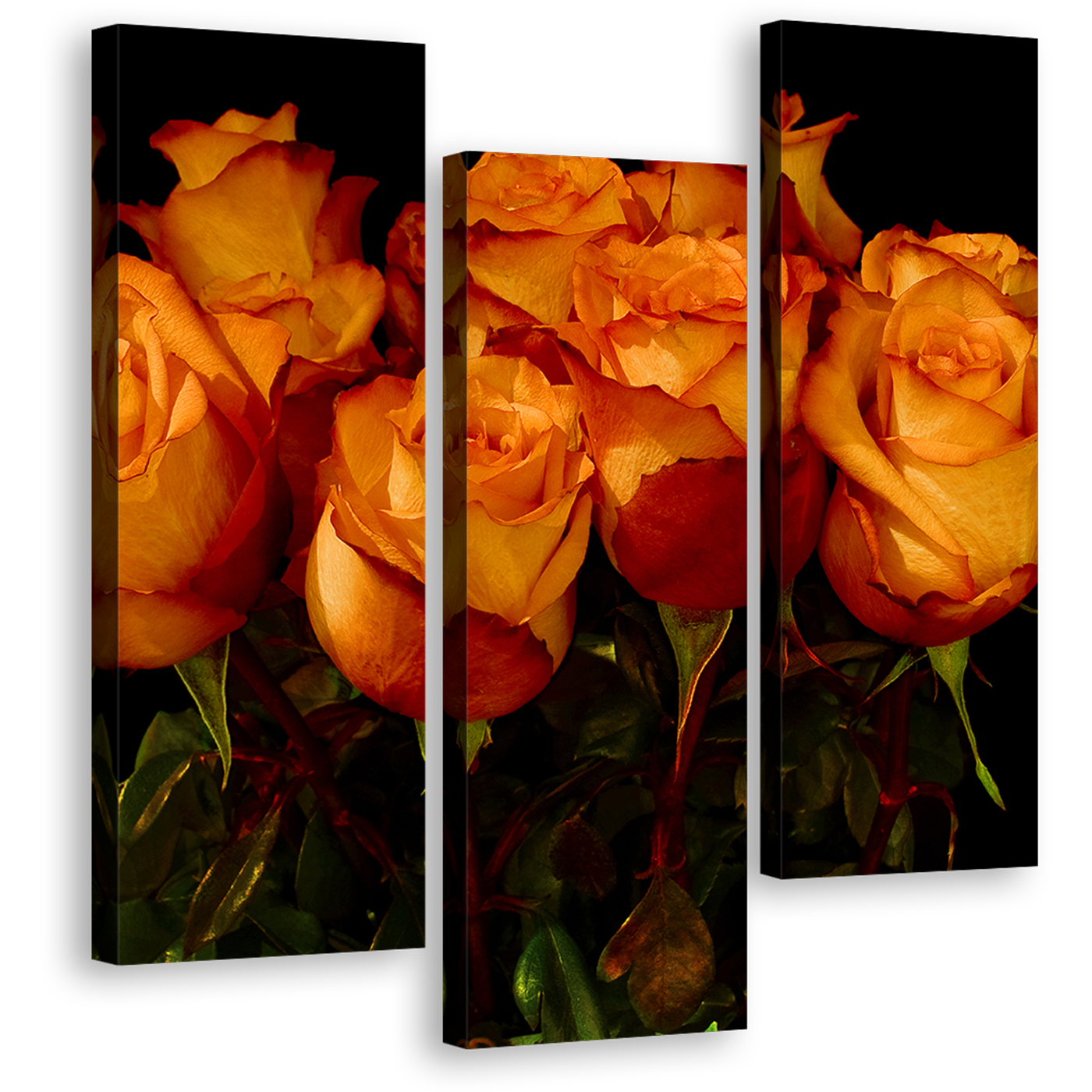 Beautiful Flowers Wall Art, Beautiful Orange Rose Bunch 3 Piece Canvas Print, Black Background With Floral Close Up Triptych Multi Canvas