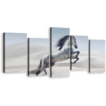 Load image into Gallery viewer, Beautiful Horse Canvas Wall Art, Grey Horse in Nature 5 Piece Canvas Set, Galloping White Wild Horse Canvas Print
