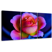 Load image into Gallery viewer, Beautiful Rose Canvas Print, Purple Pink Rose Flower Multi Canvas, Blue Background Floral 3 Piece Canvas Wall Art
