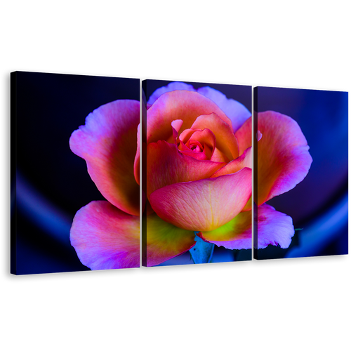 Beautiful Rose Canvas Print, Purple Pink Rose Flower Multi Canvas, Blue Background Floral 3 Piece Canvas Wall Art