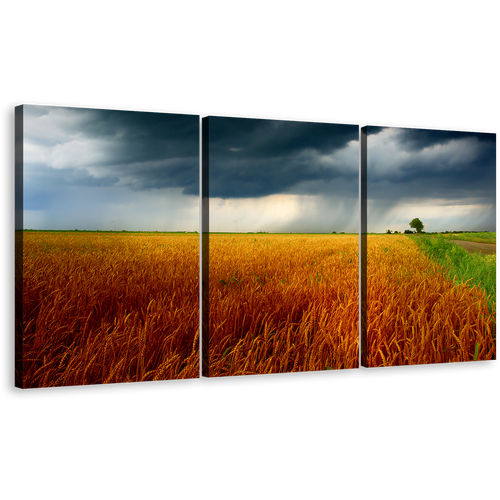 Beautiful Scenery Canvas Wall Art, Orange Green Grain Fields 3 Piece Canvas Print, Grey Storm Clouds Multi Canvas