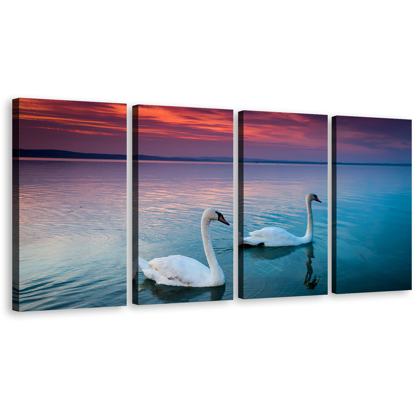 Beautiful Swans Wall Art, White Mute Birds Couple Swimming Canvas Set, Blue Balaton Lake 4 Piece Multi Canvas