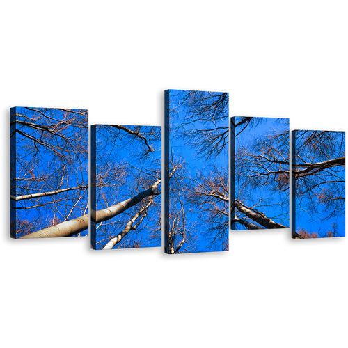 Beautiful Trees Wall Art, Brown Autumn Tree Brunches 5 Piece Canvas Print, Looking Up Blue Sky Multi Canvas