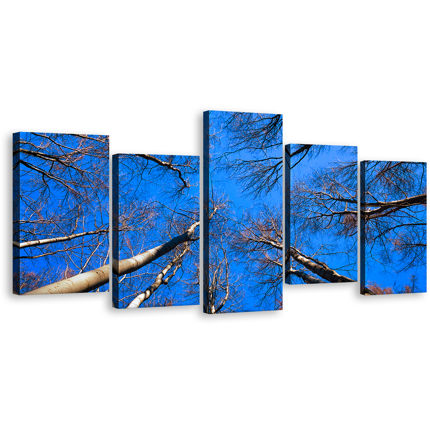 Beautiful Trees Wall Art, Brown Autumn Tree Brunches 5 Piece Canvas Print, Looking Up Blue Sky Multi Canvas