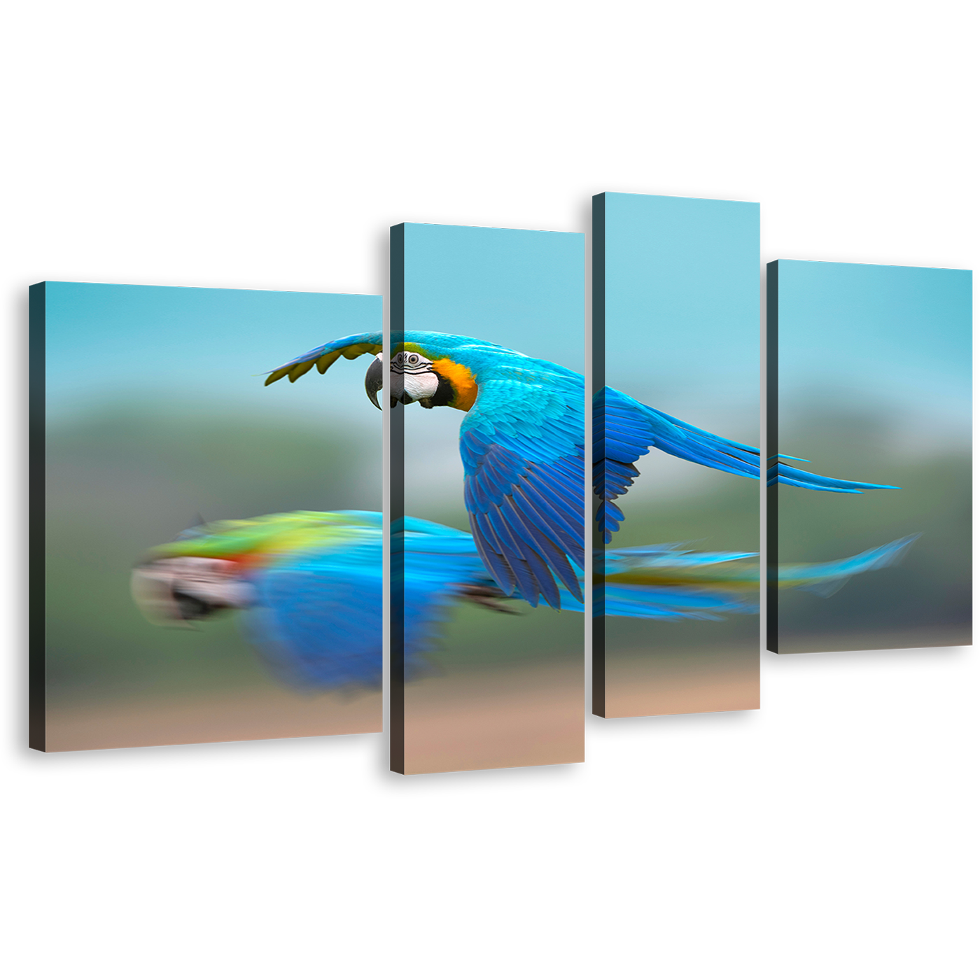 Bird Flying Canvas Print, Blue Parrot Flying 4 Piece Canvas Wall Art, Colorful Exotic Parrot Canvas Set