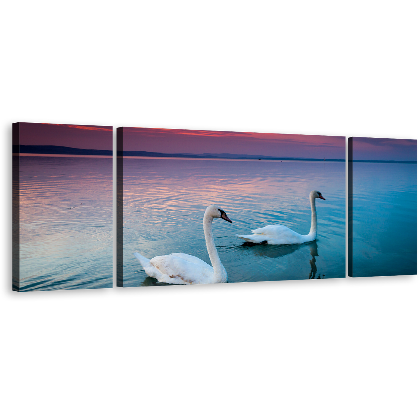 Birds Couple Canvas Print, Balaton Blue Lake Swans 3 Piece Wall Art, Beautiful White Mute Swans Swimming Canvas Set