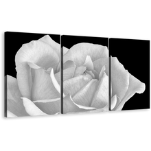 Load image into Gallery viewer, Blooming Rose Canvas Print, Black Background Monochrome Flower 3 Piece Canvas Wall Art, White Rose Digital Painting Canvas Set
