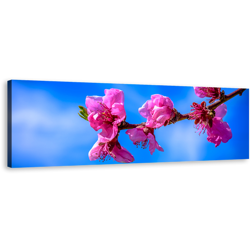 Blossoming Branch Canvas Wall Art, Pink Flowers 1 Piece Canvas Artwork, Beautiful Blue Sky Floral Canvas Print