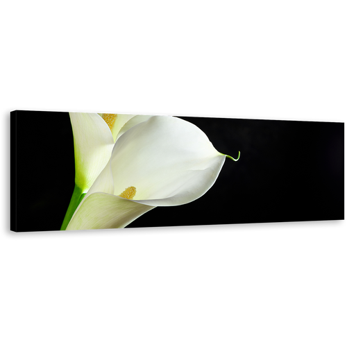 Calla Lilies Canvas Wall Art, White Lily Black Background Wide Canvas, Isolated Flower Panoramic Canvas Print