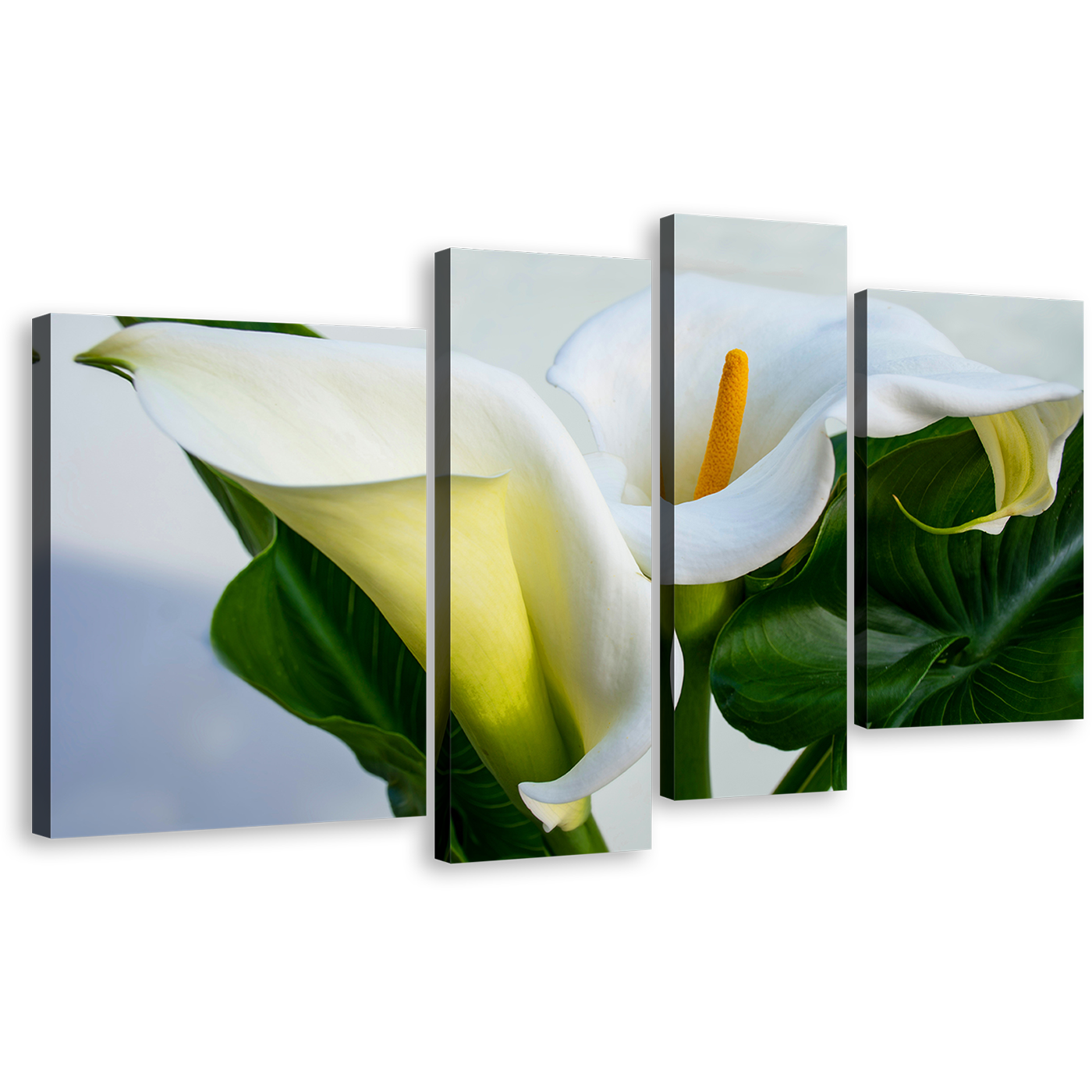 Calla Lily Canvas Wall Art, Green Leaves Lily Digital Painting 4 Piece Multiple Canvas, White Lily Elegance Canvas Print