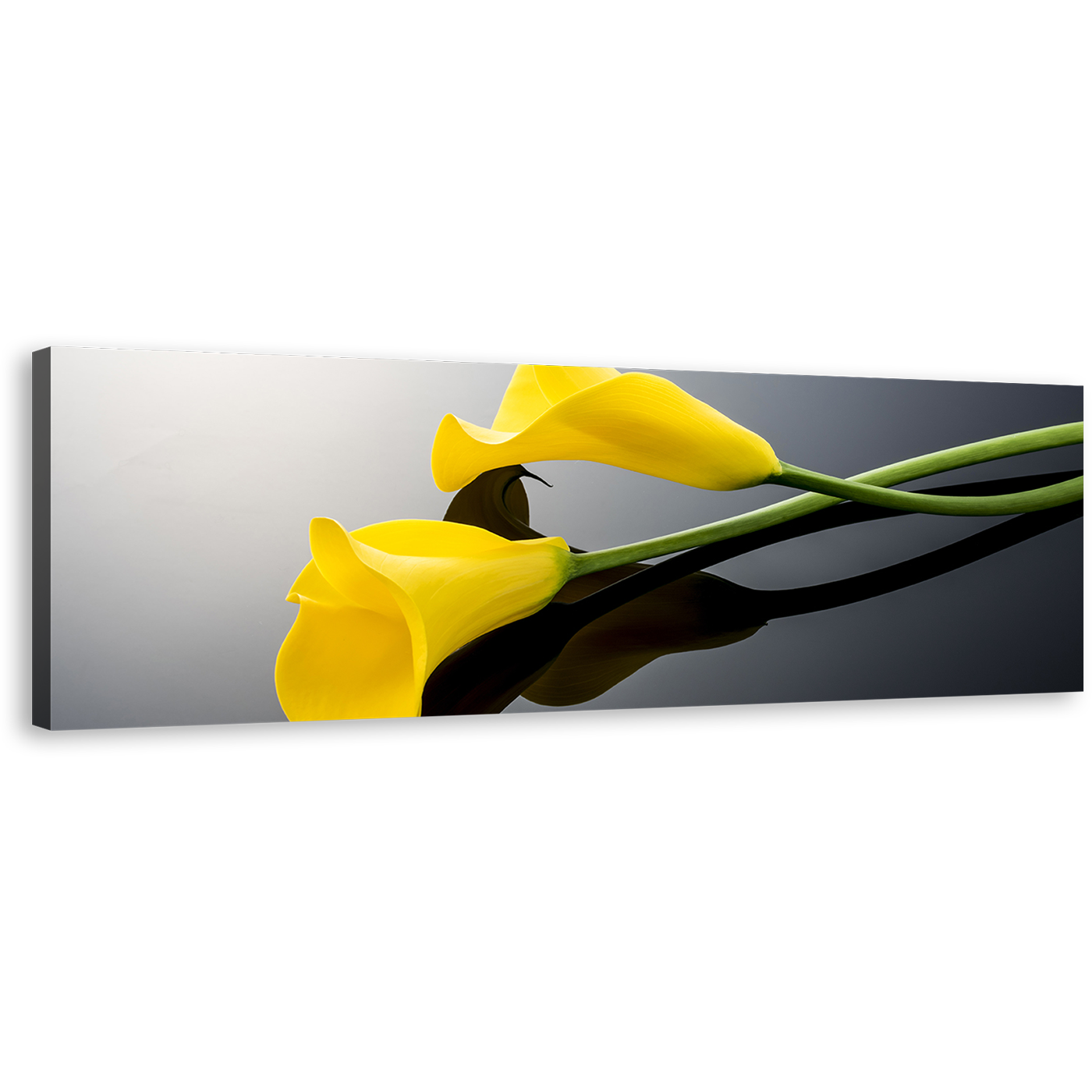 Calla Lily Canvas Wall Art, Yellow Isolated Lilies 1 Piece Canvas Artwork, Digital Flowers Canvas Print