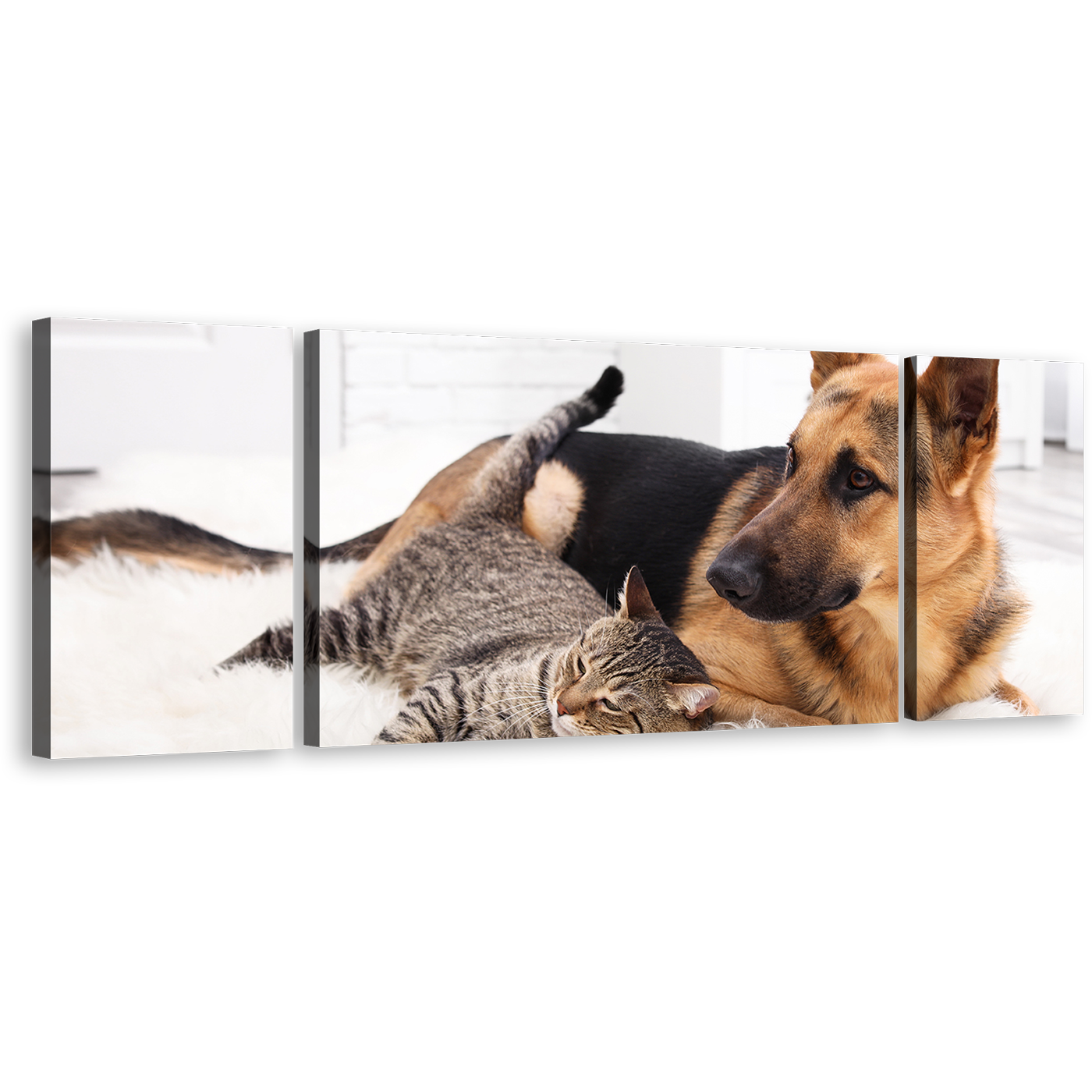 Cat Animal Canvas Wall Art, Cat and Dog Chilling 3 Piece Canvas Set, Black Brown Dog and Cat Triptych Canvas Print