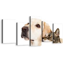 Load image into Gallery viewer, Cat Animal Canvas Wall Art, White Brown Dog and Cat 5 Piece Canvas Print, Cat dog Pets Multi Canvas
