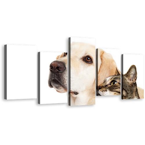 Cat Animal Canvas Wall Art, White Brown Dog and Cat 5 Piece Canvas Print, Cat dog Pets Multi Canvas