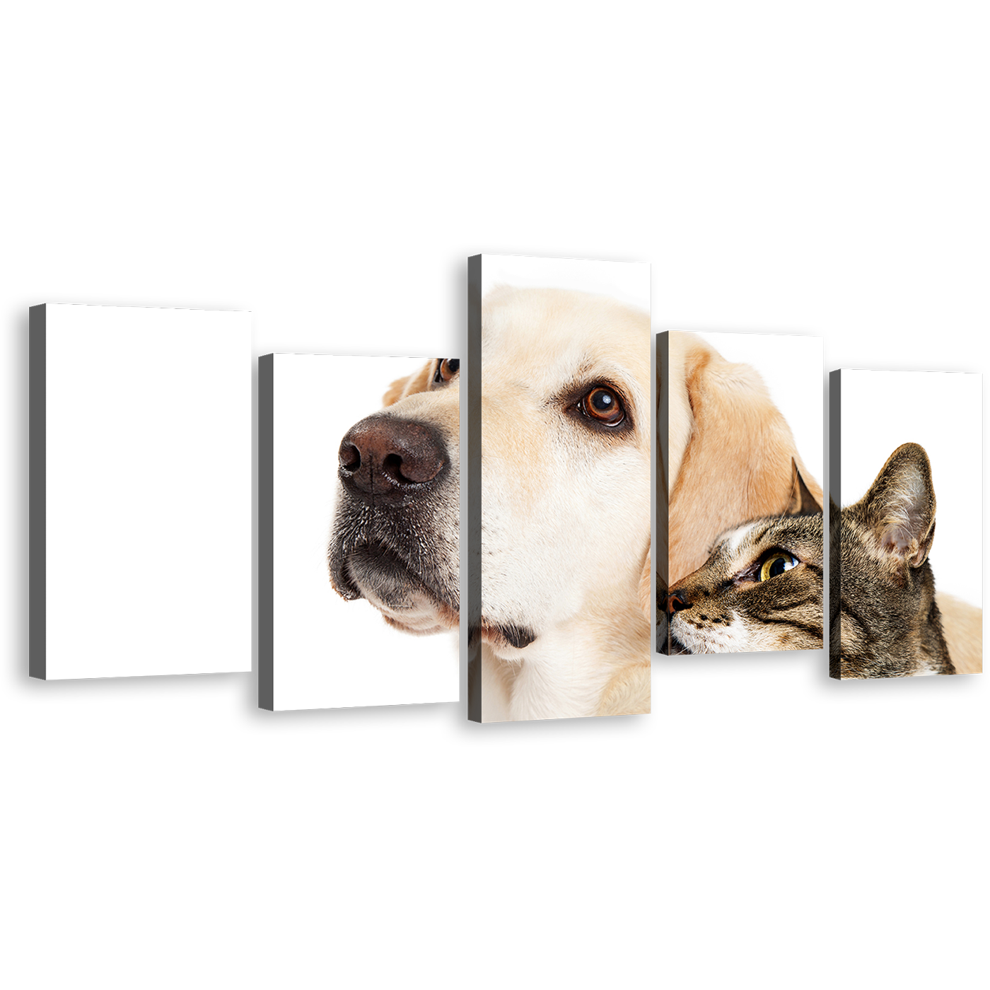 Cat Animal Canvas Wall Art, White Brown Dog and Cat 5 Piece Canvas Print, Cat dog Pets Multi Canvas