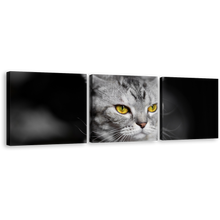 Load image into Gallery viewer, Cat Sitting Canvas Wall Art, Grey Cat Close Up 3 Piece Canvas Set, Yellow Cat Eyes Canvas Print
