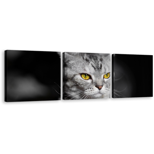 Cat Sitting Canvas Wall Art, Grey Cat Close Up 3 Piece Canvas Set, Yellow Cat Eyes Canvas Print