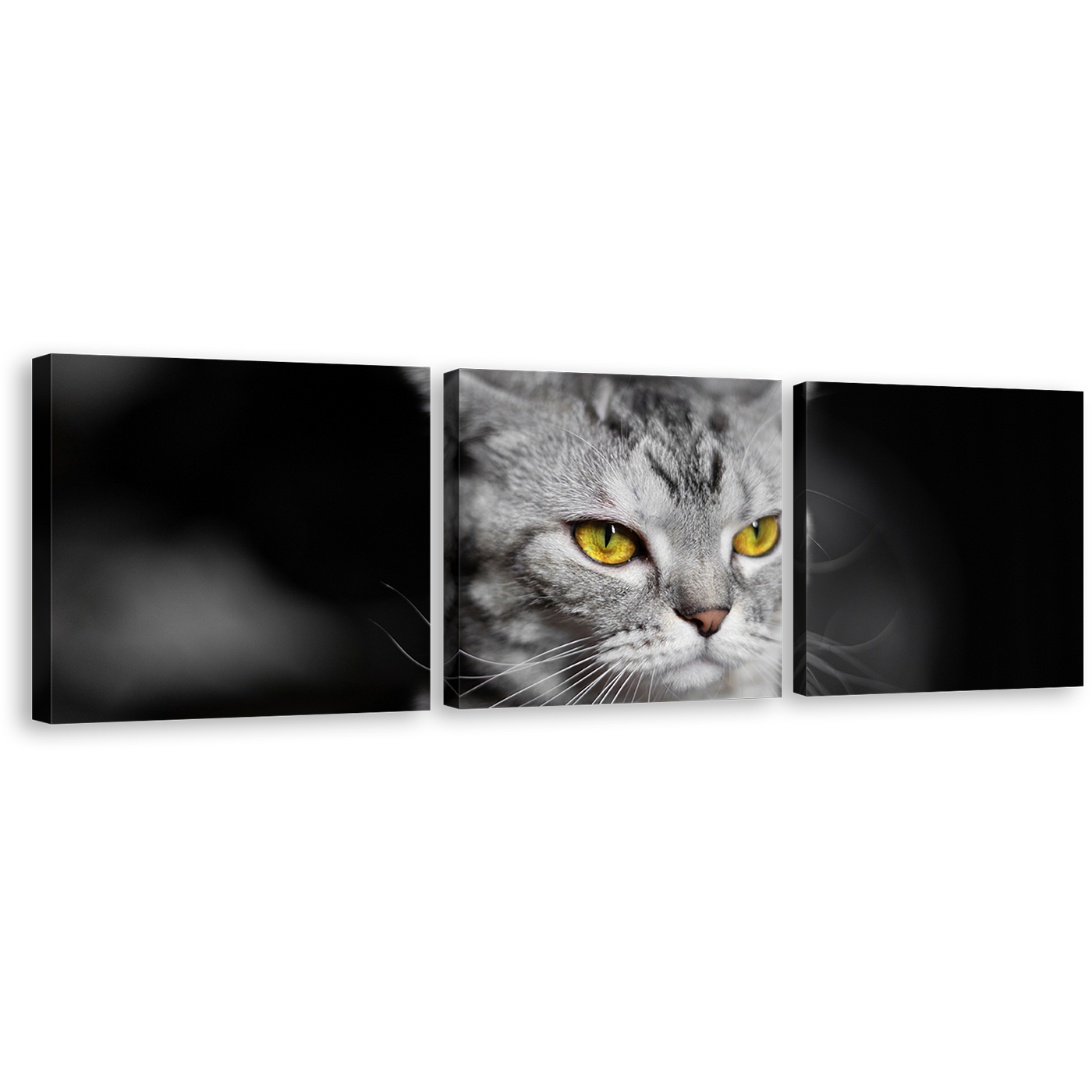 Cat Sitting Canvas Wall Art, Grey Cat Close Up 3 Piece Canvas Set, Yellow Cat Eyes Canvas Print