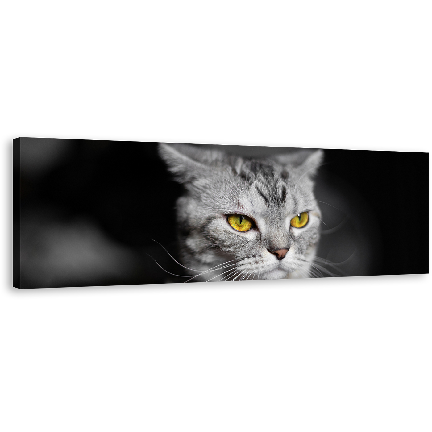 Cats Pet Canvas Wall Art, Yellow Cat Eyes 1 Piece Canvas Print, Grey Cat Close Up Wide Canvas