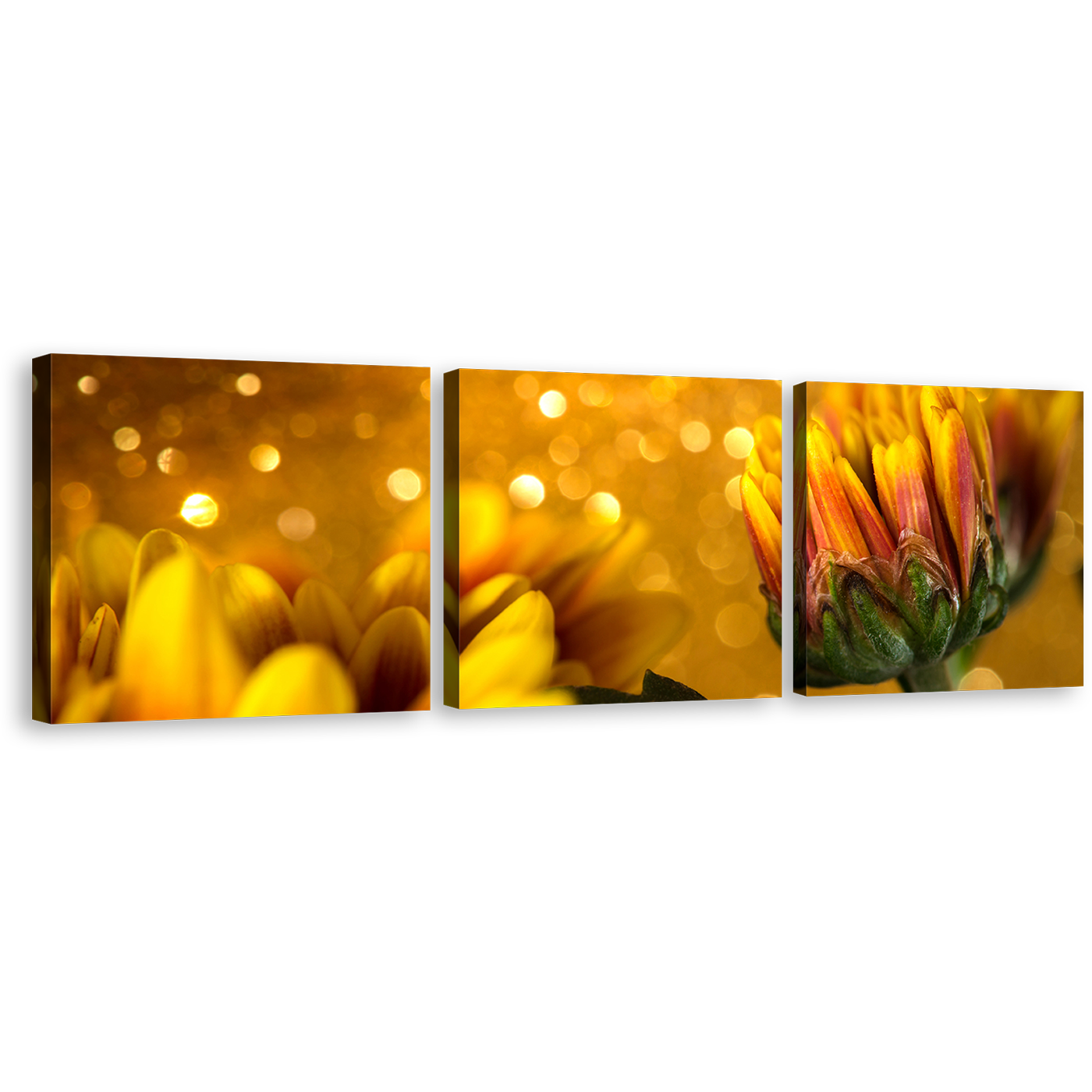 Chrysanthemum Flowers Canvas Wall Art, Golden Abstract Beautiful Floral 3 Piece Canvas Set, Yellow Flower Canvas Print