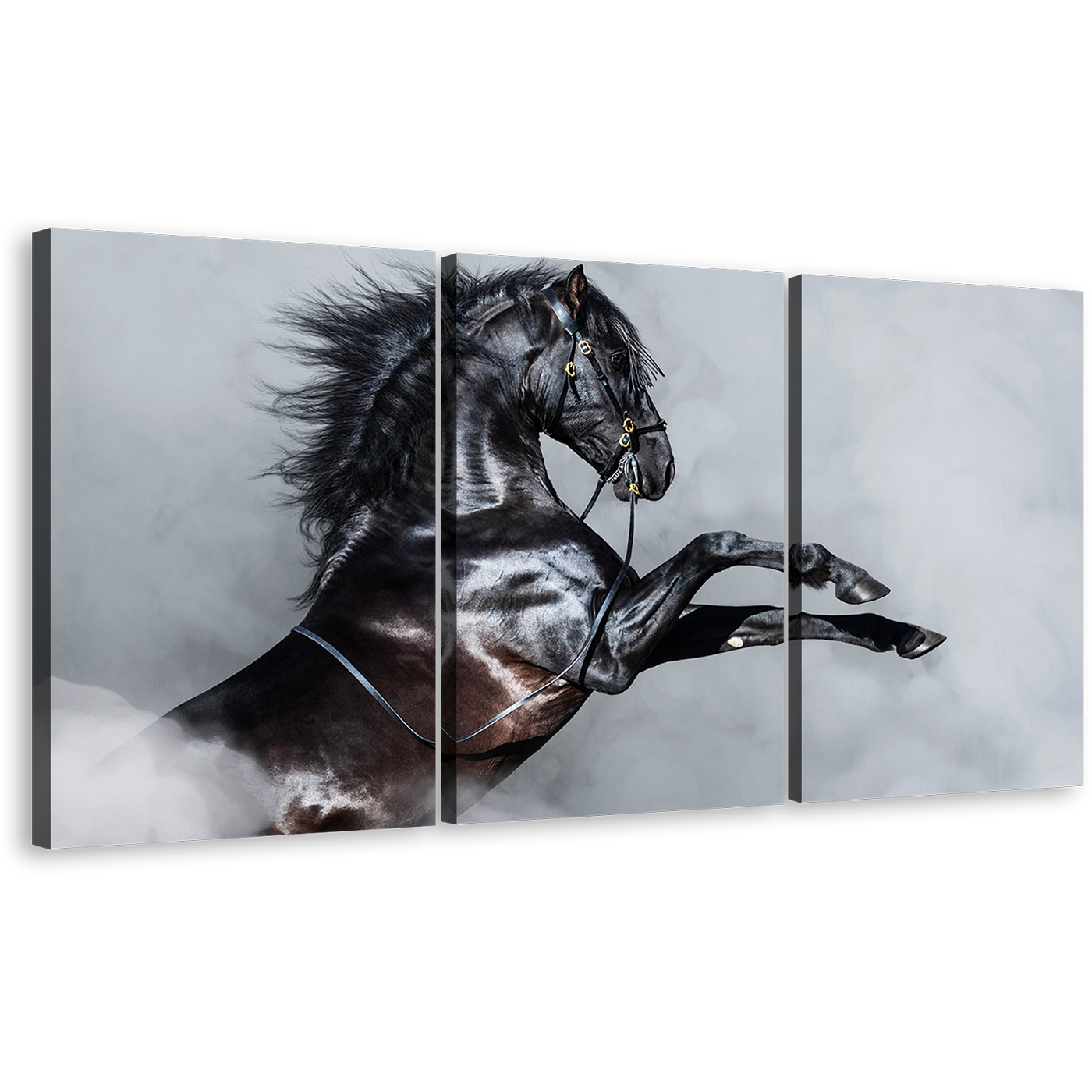 Classic Stallion Canvas Wall Art, Grey Shinny Horse 3 Piece Canvas, Black Horse Side Portrait Canvas Print