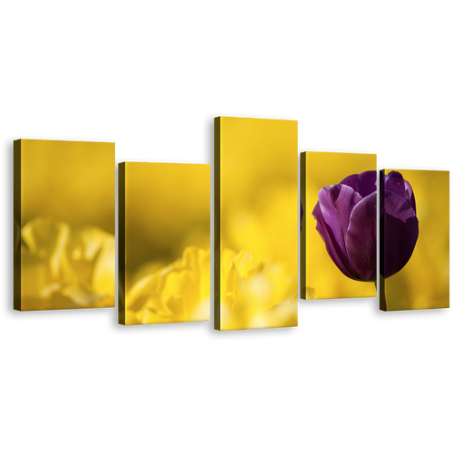 Closed Tulip Canvas Print, Purple Tulip Flower Close Up Canvas Set, Yellow Fields Background 5 Piece Canvas Wall Art