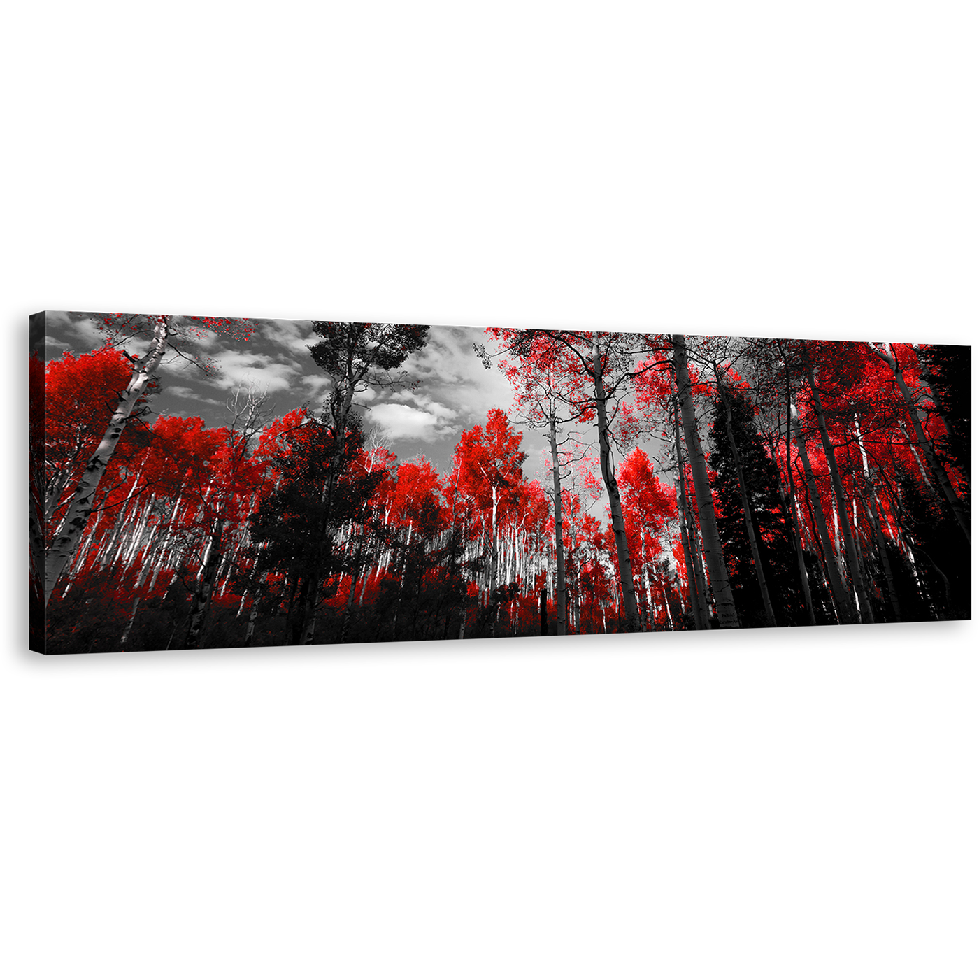 Colorado Forest Canvas Wall Art, Black and White Sky Panoramic Canvas, Red Trees Scenery 1 Piece Canvas Print