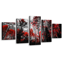 Load image into Gallery viewer, Colorado Forest Canvas Wall Art, Red Trees Scenery 5 Piece Canvas Print, Black and White Sky Multi Canvas
