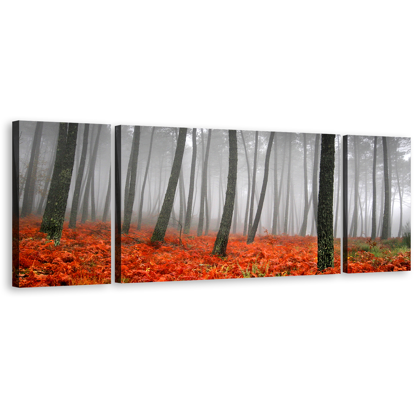 Contemporary Forest Wall Art, Red Grass Grey Rain Scenery Triptych Canvas Set, Mystic Charcoal Sunlight Canvas Print