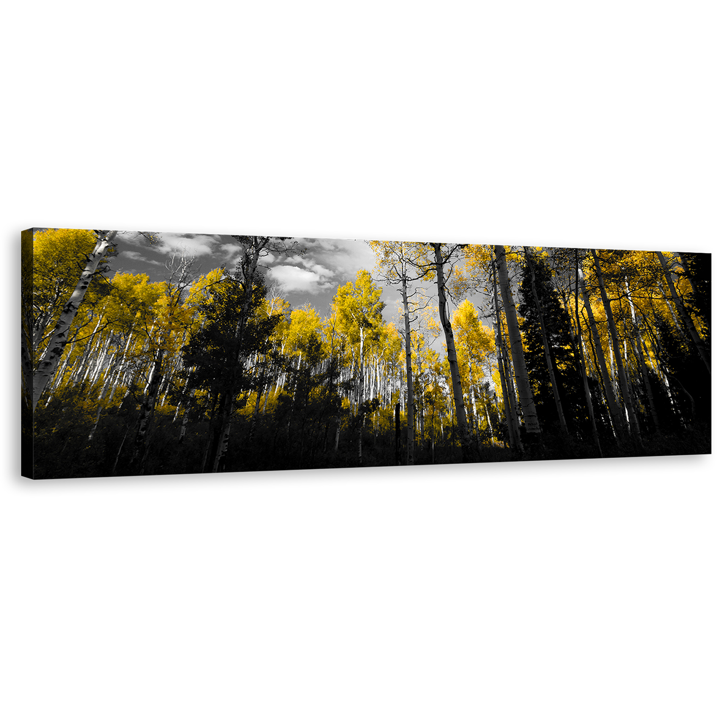 Contemporary Scenery Wall Art, Black Yellow Fall Landscape Canvas Art, Beautiful Dark Sky Forest 1 Piece Canvas Print