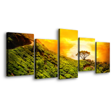 Load image into Gallery viewer, Contemporary Sunset Canvas Wall Art, Yellow Sky Kerala Alone Tree 5 Piece Canvas, Green Munnar Kerala Landscape Canvas Print
