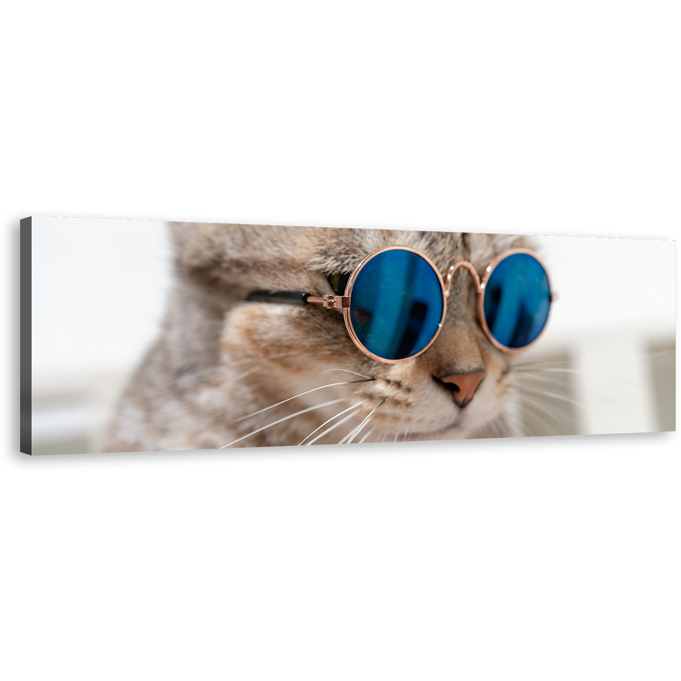 Cool Cat Canvas Wall Art, Cat Wearing Blue Sunglasses 1 Piece Canvas Artwork, Brown Cat Close Up Canvas Print