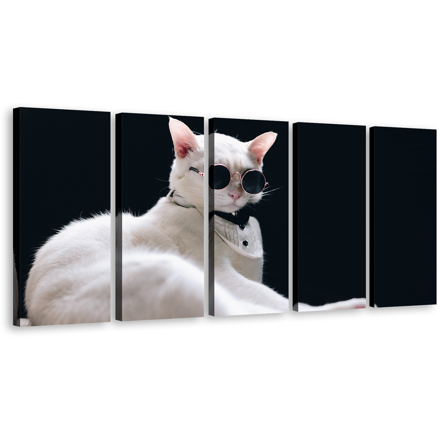 Cool Cat Canvas Wall Art, White Cat Posing 5 Piece Canvas, Cat Portrait in Black Background Canvas Print