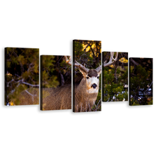 Load image into Gallery viewer, Deer Nature Canvas Print, Mule Deer Green Scenery 5 Piece Canvas Wall Art, Brown Deer Wildlife Multiple Canvas
