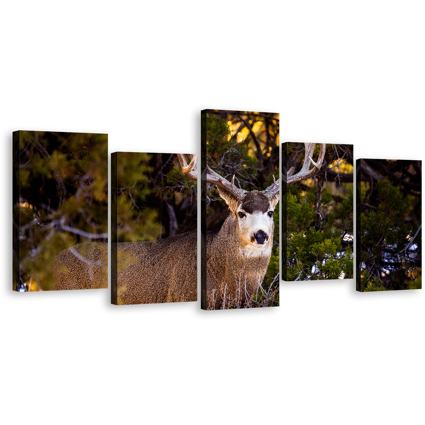 Deer Nature Canvas Print, Mule Deer Green Scenery 5 Piece Canvas Wall Art, Brown Deer Wildlife Multiple Canvas