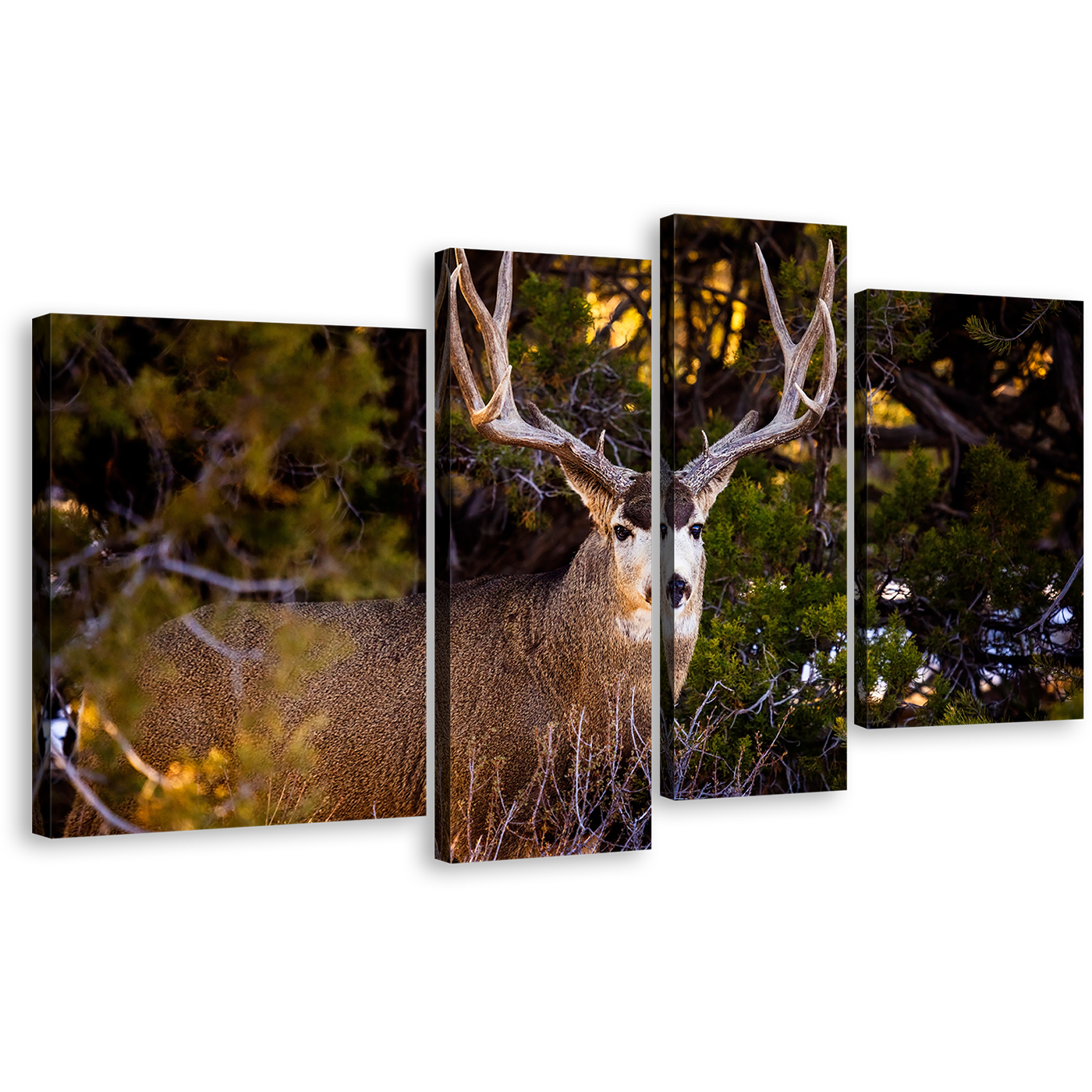 Deer Scenery Canvas Wall Art, Brown Mule Deer Staring 4 Piece Canvas Print, Deer Green Nature Canvas Set