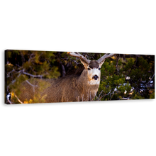 Load image into Gallery viewer, Deer Wildlife Canvas Wall Art, Deer Green National Park 1 Piece Canvas Print, Brown Mule Deer Staring Canvas Artwork
