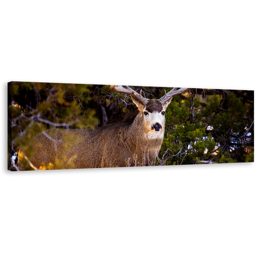 Deer Wildlife Canvas Wall Art, Deer Green National Park 1 Piece Canvas Print, Brown Mule Deer Staring Canvas Artwork