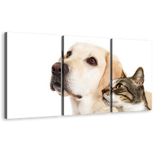 Load image into Gallery viewer, Dog Animal Canvas Wall Art, Labrador Dog and Brown Cat 3 Piece Multiple Canvas, White Dog and Cat Pets Canvas Print
