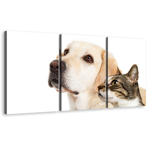 Dog Animal Canvas Wall Art, Labrador Dog and Brown Cat 3 Piece Multiple Canvas, White Dog and Cat Pets Canvas Print