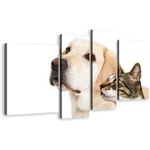 Load image into Gallery viewer, Dog Cat Canvas Print, Brown White Dog Cat Isolated 4 Piece Canvas Wall Art, Labrador Dog and Cat Canvas Set
