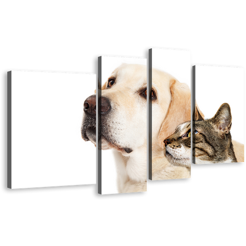 Dog Cat Canvas Print, Brown White Dog Cat Isolated 4 Piece Canvas Wall Art, Labrador Dog and Cat Canvas Set