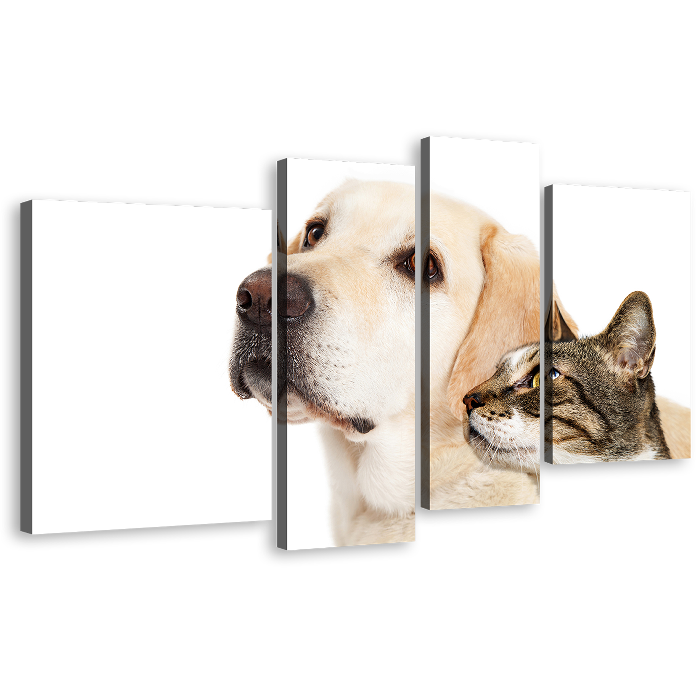 Dog Cat Canvas Print, Brown White Dog Cat Isolated 4 Piece Canvas Wall Art, Labrador Dog and Cat Canvas Set