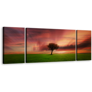 Dramatic Dawn Canvas Wall Art, Red Alone Tree 3 Piece Canvas Print, Beautiful Orange Sky Green Fields Multiple Canvas