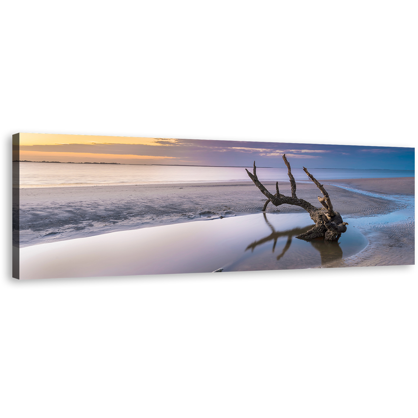 Driftwood Beach Canvas Wall Art, Ocean Beach in Jekyll Island Panoramic Canvas Print, Yellow Sky Ocean Wide Canvas, Georgia White Ocean Beach Canvas Artwork