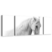 Load image into Gallery viewer, Elegant Horse Canvas Print, White Grey Horse Portrait 3 Piece Multi Canvas, Horse Close Up Canvas Wall Art
