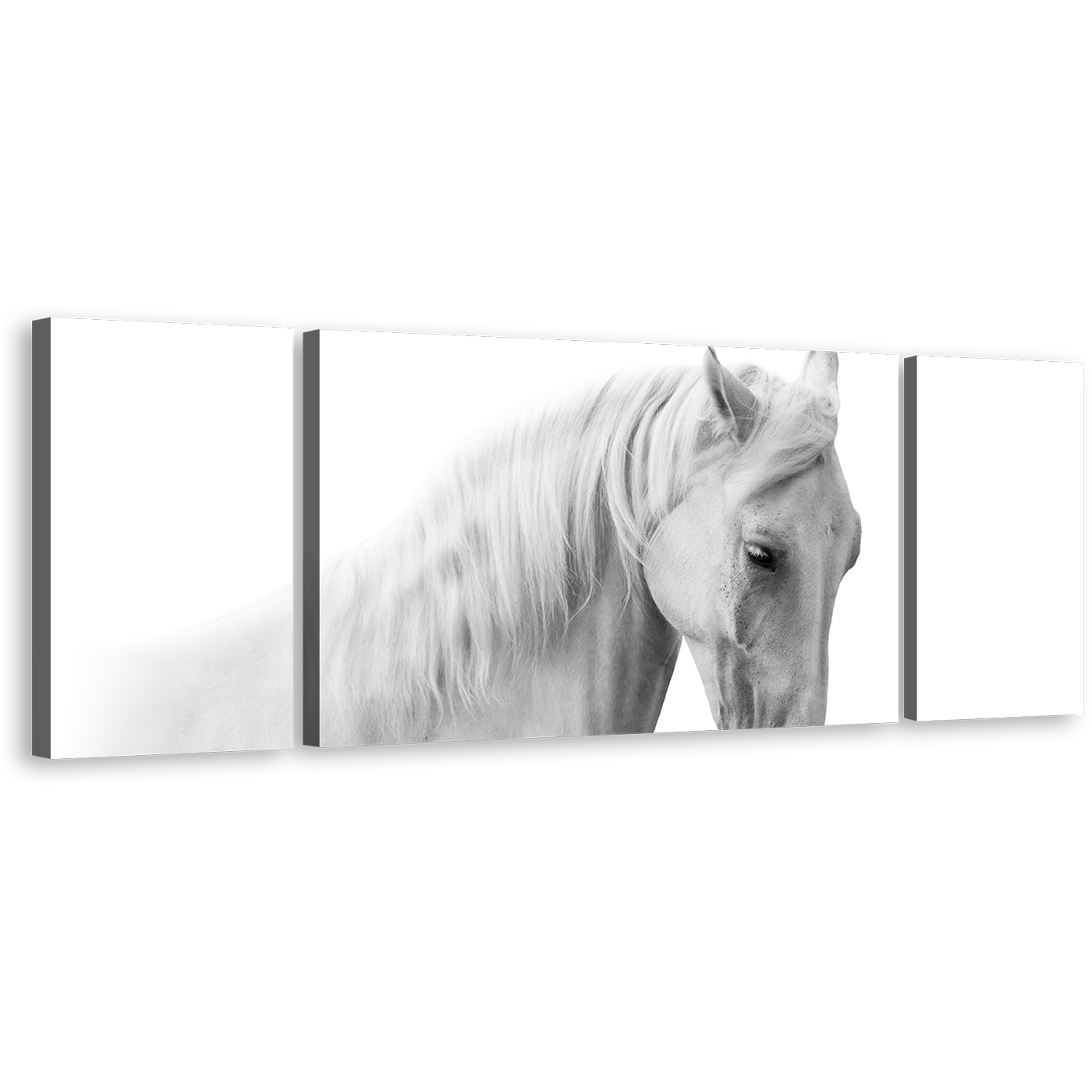 Elegant Horse Canvas Print, White Grey Horse Portrait 3 Piece Multi Canvas, Horse Close Up Canvas Wall Art