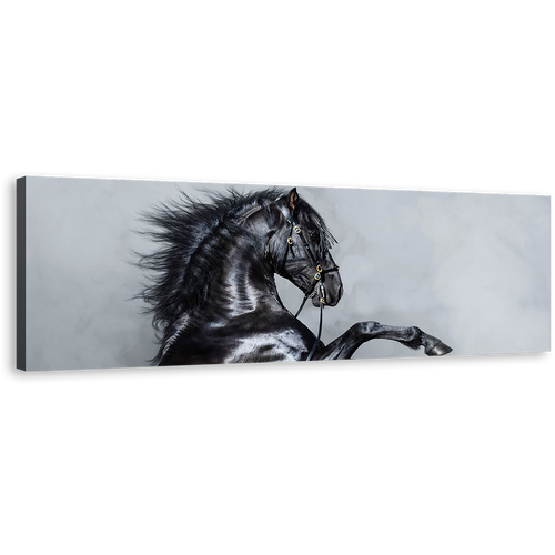 Elegant Horse Canvas Wall Art, Black Horse Side Portrait 1 Piece Canvas Print, Grey Shinny Horse Canvas Artwork